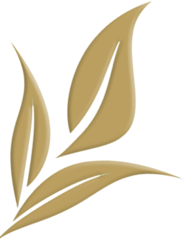 site-icon