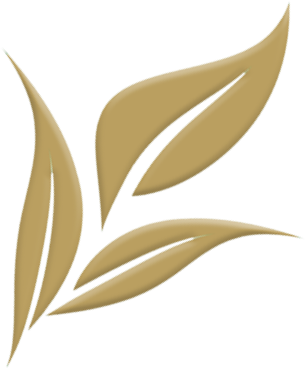 site-icon