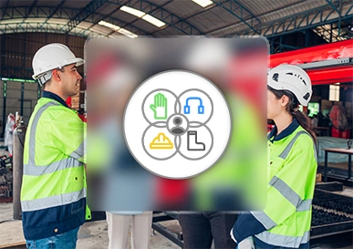 asset integrity management software